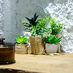 Robinson Crusoe Island Apartment